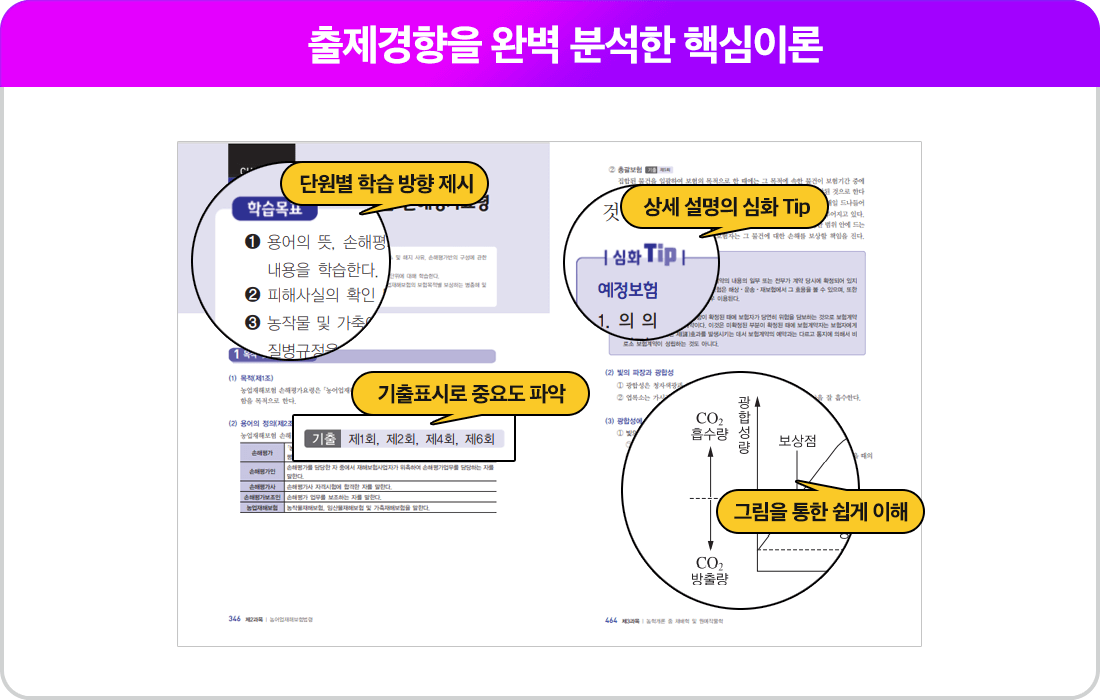 퍼펙트 연장반